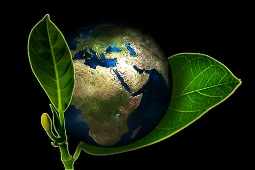 Eco-Friendly-Hand-Wash--Eco-Friendly-Hand-Wash-2516833-image