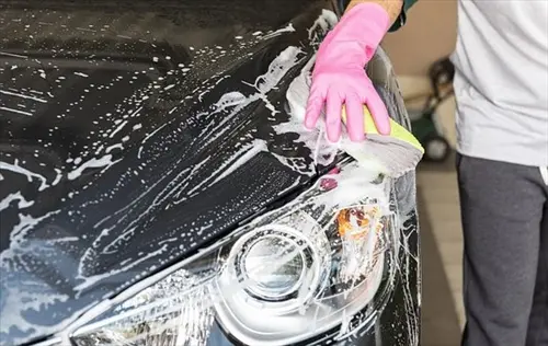 Tar-Bug-And-Tree-Sap-Removal--Tar-Bug-And-Tree-Sap-Removal-2524345-image